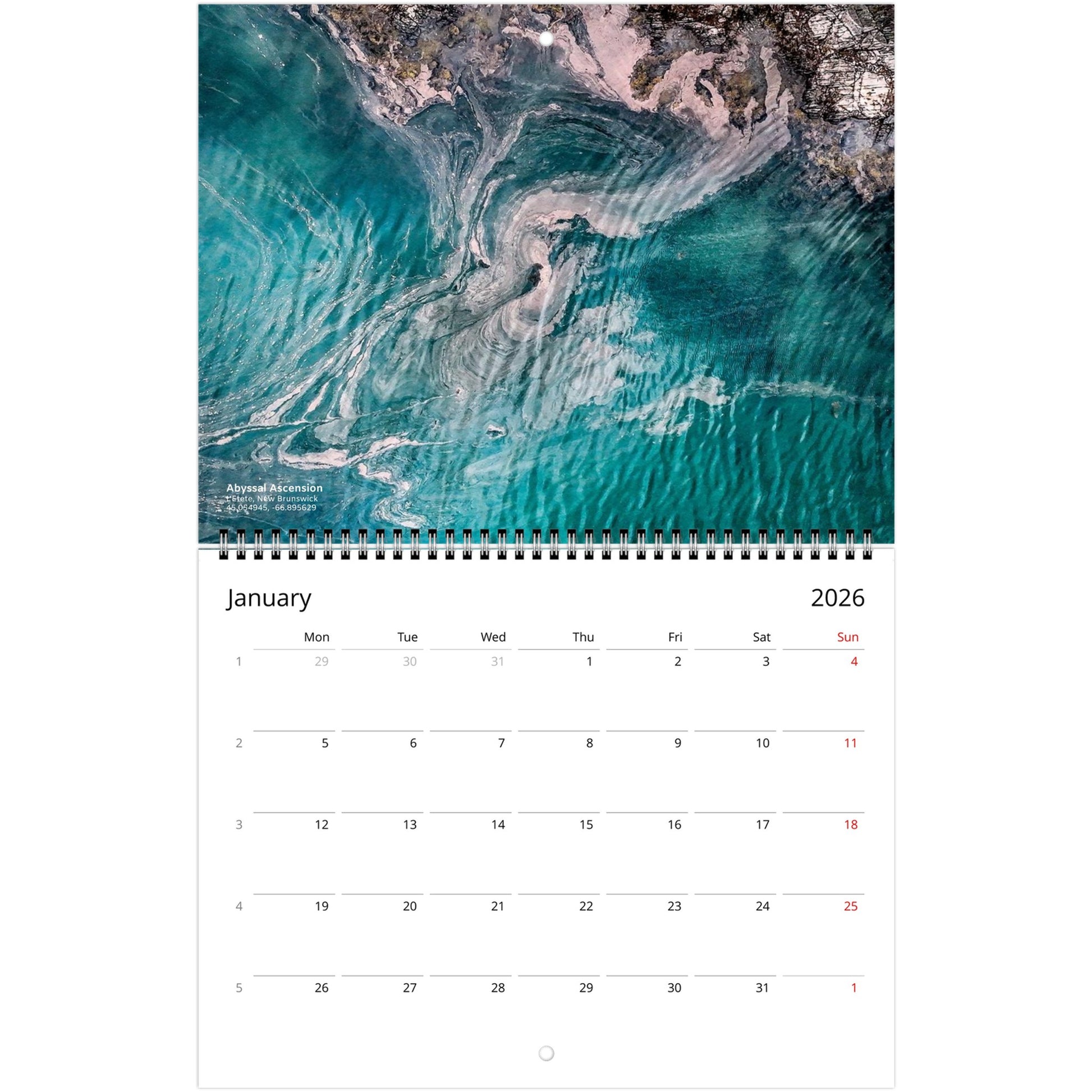 1956e693-cca5-4ddf-a5fc-b507b2500cd4