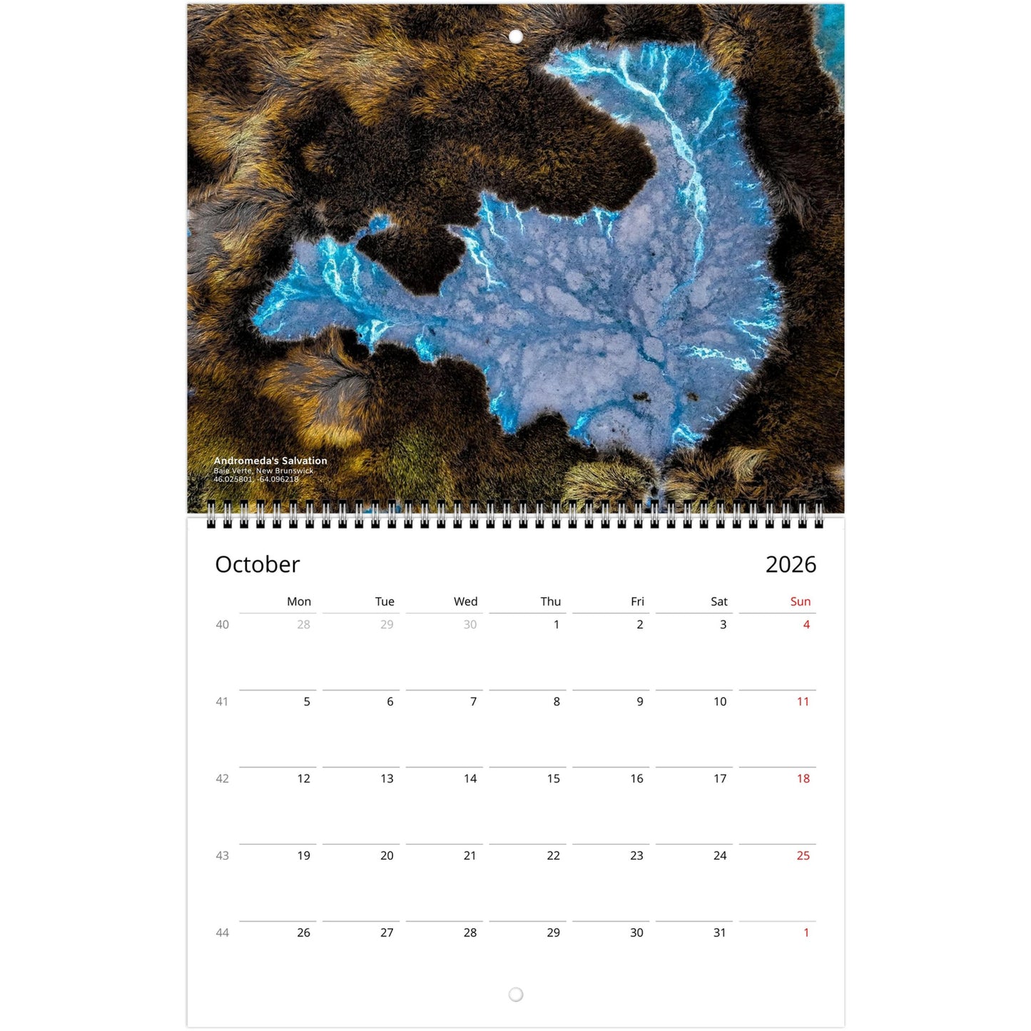 1fa8c677-429e-482b-bda9-ba380f83a94d