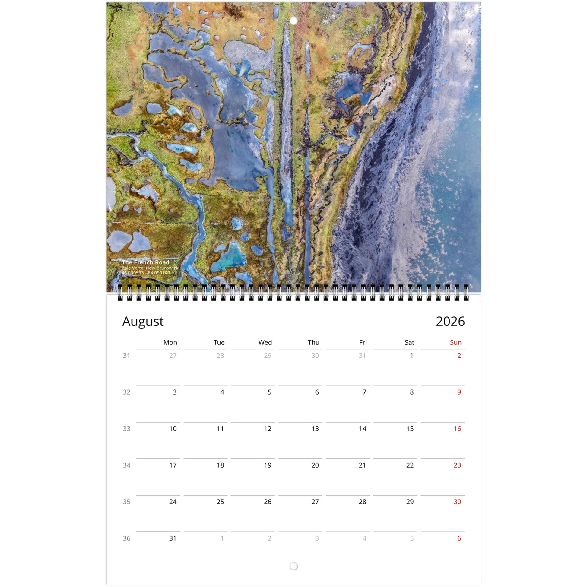 ced59059-d00c-4483-8ced-ff60d0e10323