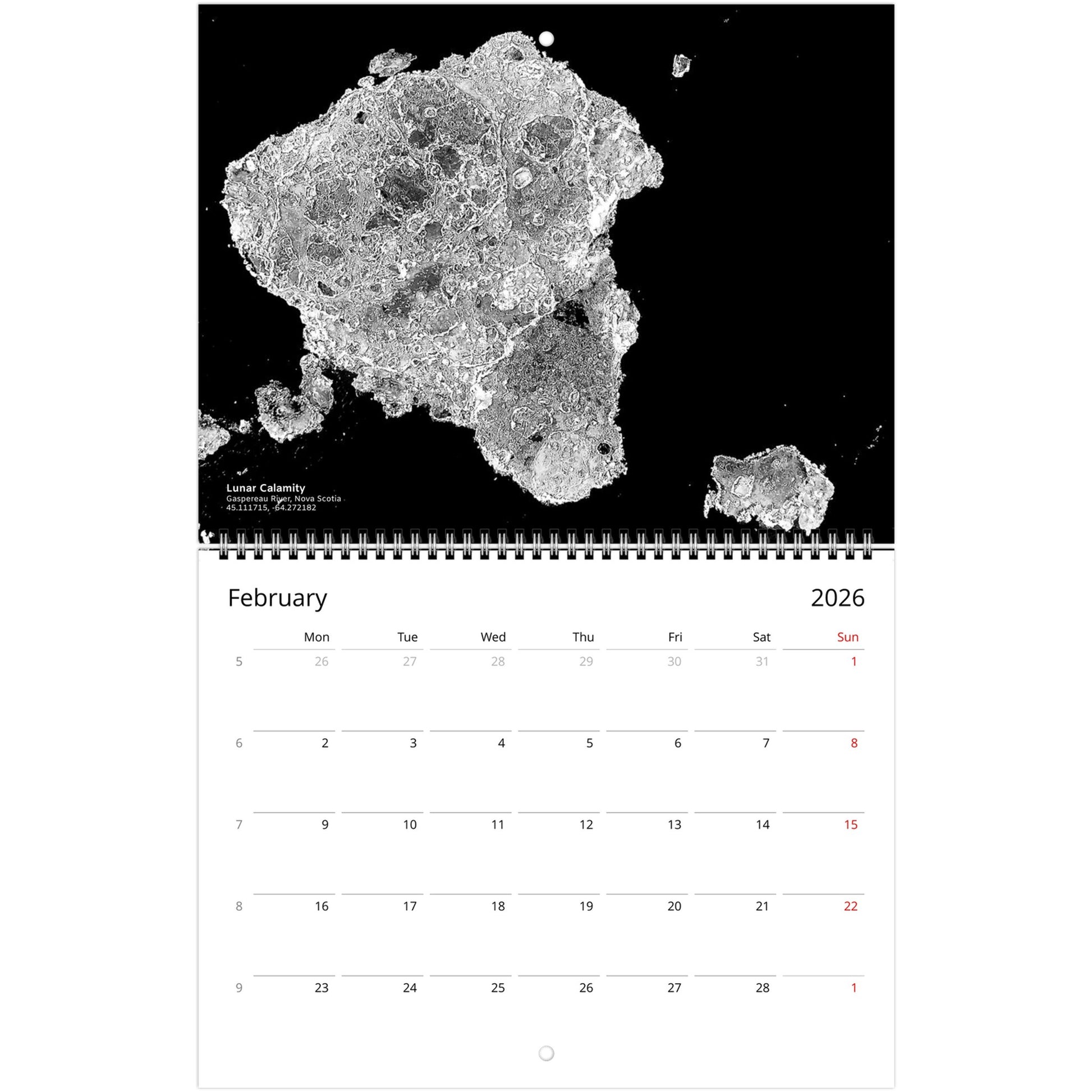 f7cb138c-8b83-4957-b7d9-a8b364b1f3d8